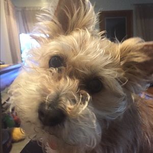 Meet your Posher, Matt